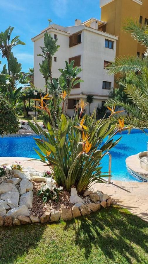 Punta Prima Nice Apartment With Sea Views Torrevieja Esterno foto